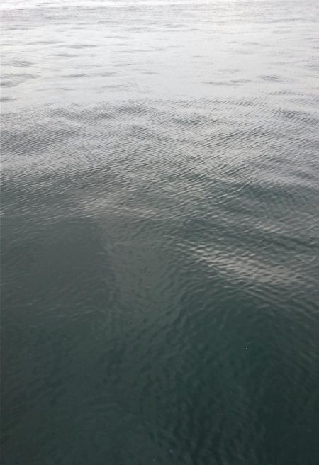 南港タチウオ いつ回復するの！？