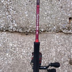 貝塚人工島タチウオ&青物遠征