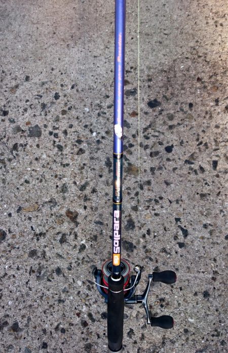 泉大津エリア タチウオ釣果