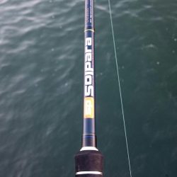 出勤前にタチウオ釣行