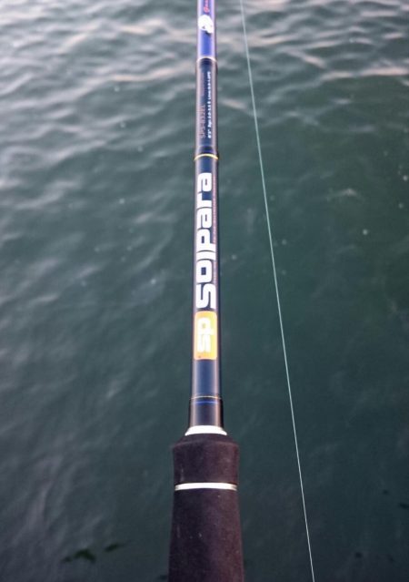 出勤前にタチウオ釣行