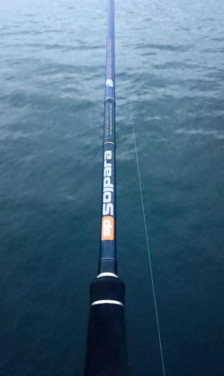 大阪湾タチウオ終了なん!?