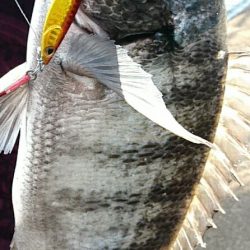 全くダメな日曜日だった