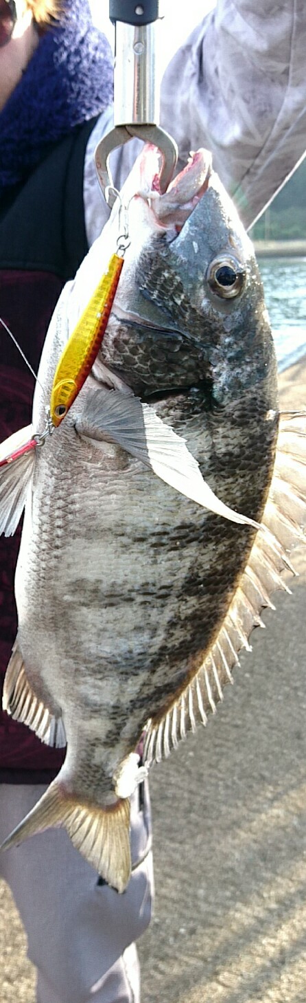 全くダメな日曜日だった