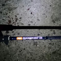 南港にタチウオ釣行