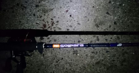 南港にタチウオ釣行