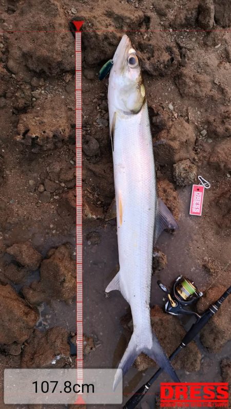 干潮時間で爆釣しました。仕上げはカライワシ