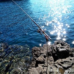 凄い!!ハタまで釣れました!!