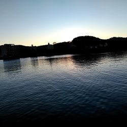 太刀魚大漁でした!!