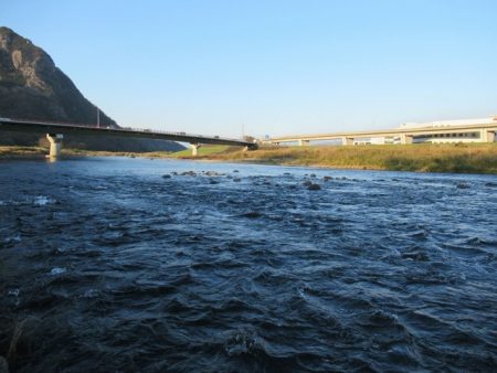 狩野川（狩野川漁業協同組合） 釣果