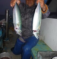 松福丸 釣果