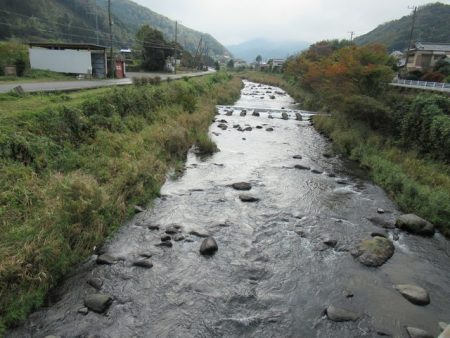 狩野川(狩野川漁業協同組合) 釣果