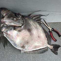 へいみつ丸 釣果