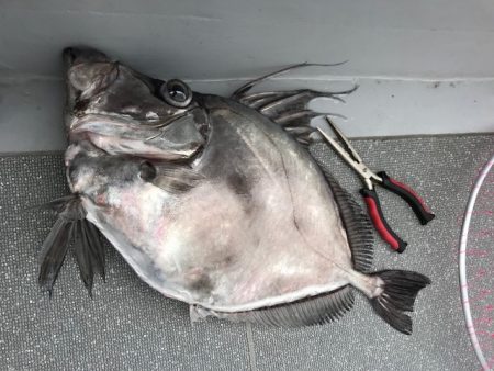 へいみつ丸 釣果