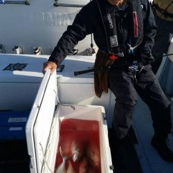 第五慶門丸 釣果