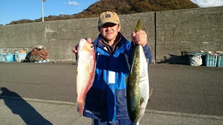 大進丸(新潟) 釣果