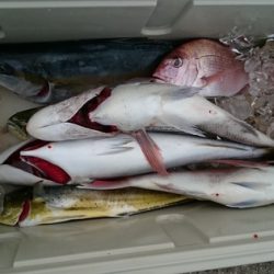 大進丸(新潟) 釣果