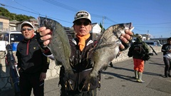 まこと渡船 釣果