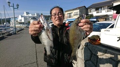 まこと渡船 釣果