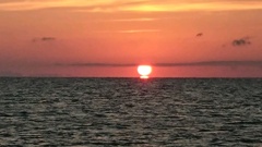 まこと渡船 釣果