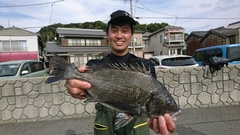 まこと渡船 釣果