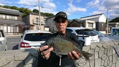 まこと渡船 釣果