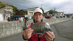 まこと渡船 釣果