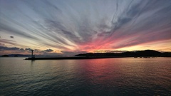 まこと渡船 釣果