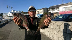 まこと渡船 釣果