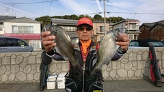 まこと渡船 釣果