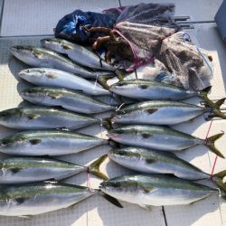 ふじしめ丸 釣果