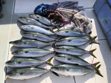 ふじしめ丸 釣果