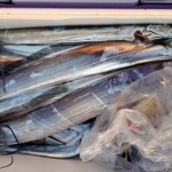 暁〜akatsuki〜 釣果