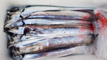 暁〜akatsuki〜 釣果