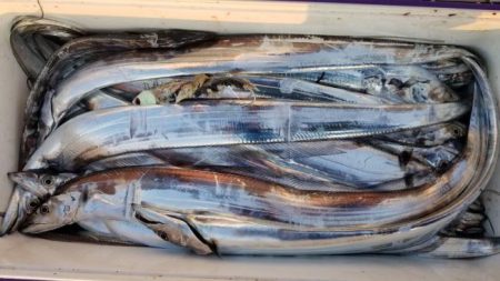 暁〜akatsuki〜 釣果