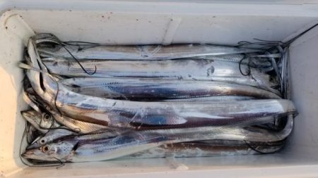 暁〜akatsuki〜 釣果