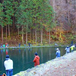 小菅トラウトガーデン 釣果