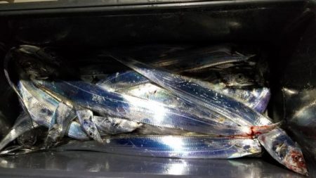 暁〜akatsuki〜 釣果