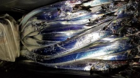 暁〜akatsuki〜 釣果