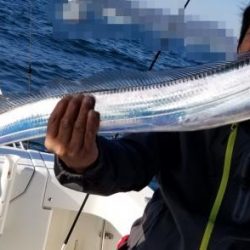 暁〜akatsuki〜 釣果