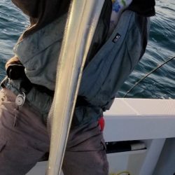 暁〜akatsuki〜 釣果