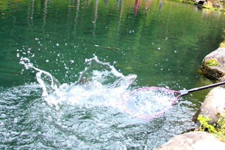 小菅トラウトガーデン 釣果