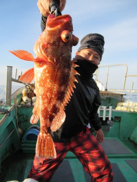 真祐丸 (しんゆうまる) 釣果