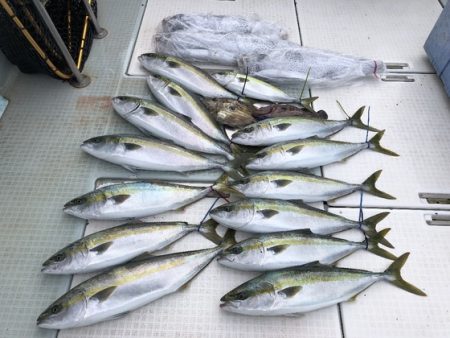 ふじしめ丸 釣果