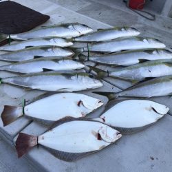 寿裕 （YOSHIHIRO） 釣果