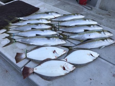 寿裕 （YOSHIHIRO） 釣果