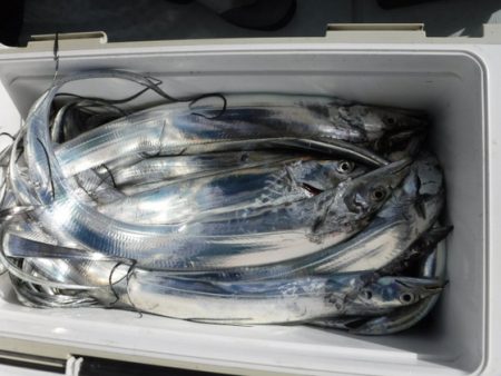 遊漁船 幸友丸 釣果