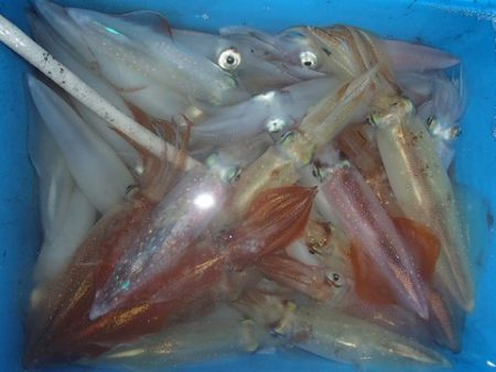 第二むつ漁丸 釣果