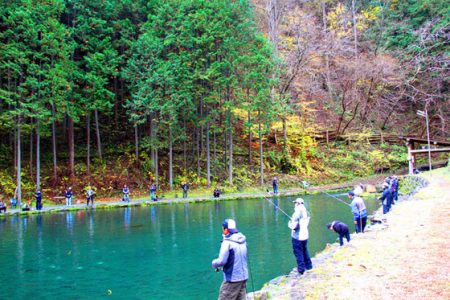 小菅トラウトガーデン 釣果