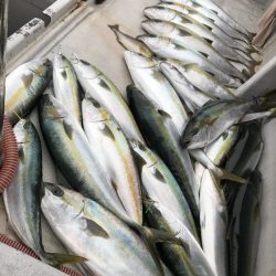 寿裕 （YOSHIHIRO） 釣果